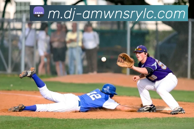 威尼斯人官网平台生态图